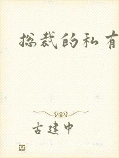 总裁的私有宝贝