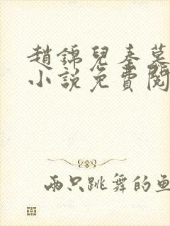 赵锦儿秦慕修的小说免费阅读全文封面