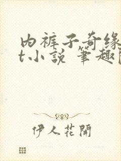 内裤子奇缘txt小说 笔趣阁