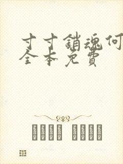 寸寸销魂何生祥全本免费