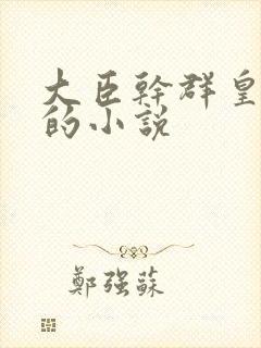 大臣干群皇太后的小说