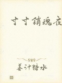 寸寸销魂夜春光