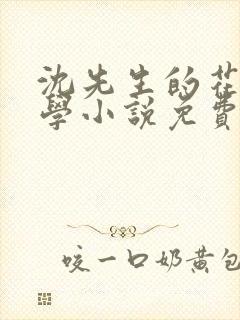 沈先生的花式教学小说免费