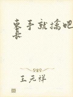 束手就擒吧韩队长