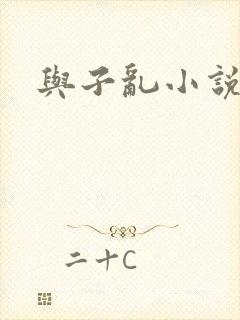与子乱小说