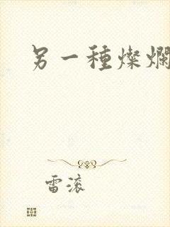 另一种灿烂生活