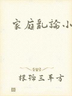 家庭乱论小说