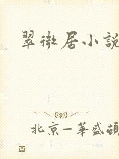 翠微居小说