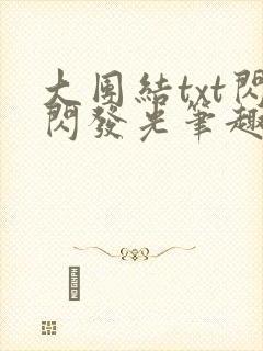 大团结txt闪闪发光笔趣阁