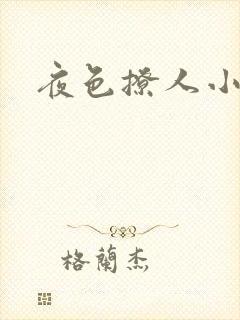 夜色撩人小说