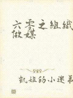 六零之组织给我做媒