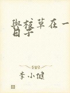 与校草在一起的日子