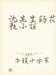 沈先生的花式调教小说