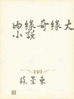内缘奇缘大团圆小说