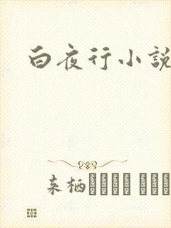 白夜行小说下载