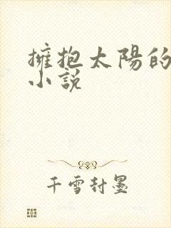 拥抱太阳的月亮小说