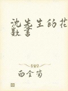 沈先生的花式调数书