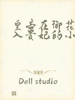 皇帝在御花园进入贵妃的小说