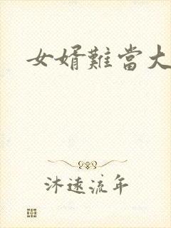 女婿难当大结局