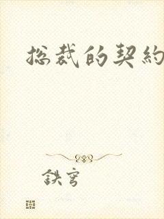 总裁的契约妻封面