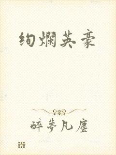 绚烂英豪封面