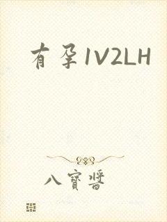 有孕1V2LH