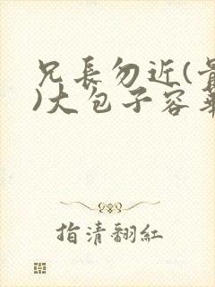 兄长勿近(骨科)大包子容华