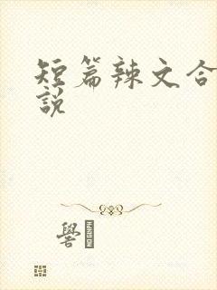 短篇辣文合集小说