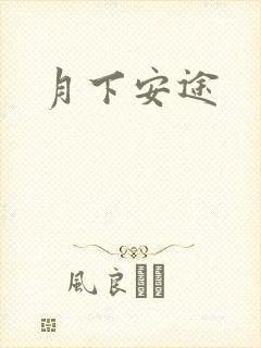 月下安途