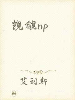 觊觎np