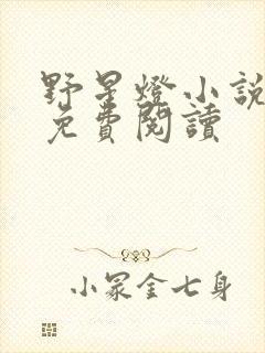 野星灯小说全文免费阅读