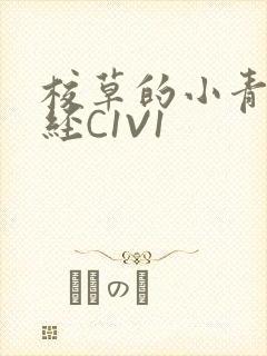 校草的小青梅不经C1V1