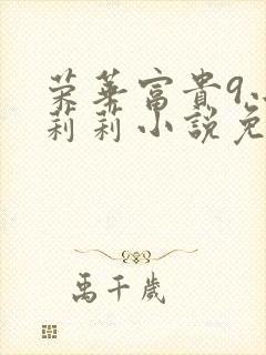 荣华富贵9小王莉莉小说免费阅读