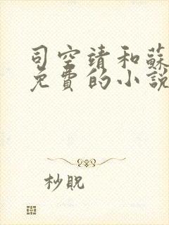 司空靖和苏月汐免费的小说笔趣阁