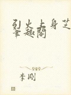 引火上身芝麻糖笔趣阁