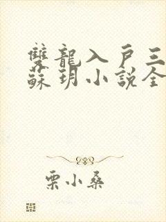 双龙入户三人行苏玥小说全文阅读