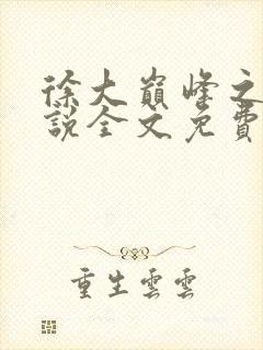 徐大巅峰之路小说全文免费阅读