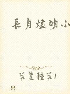 长月烬明小说