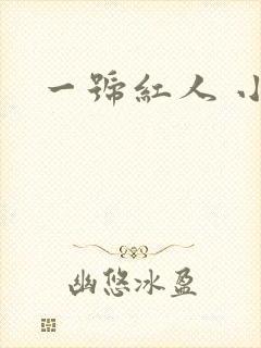一号红人 小说