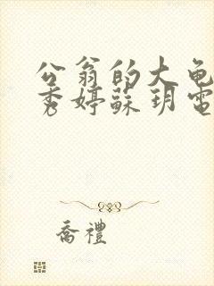 公翁的大龟挺进秀婷苏玥电影