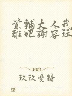 首辅大人我们和离吧谢容珏