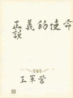 正义的使命 小说