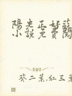 阳光正好苏玥玥小说免费阅读