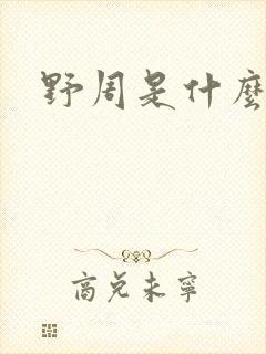 野周是什么意思