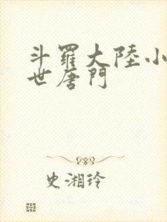 斗罗大陆小说绝世唐门