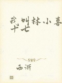 我叫林小喜今年十七