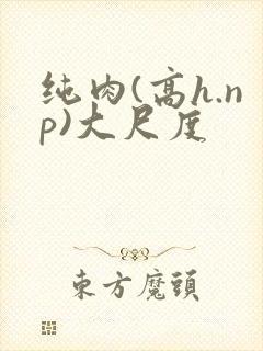 纯肉(高h.np)大尺度