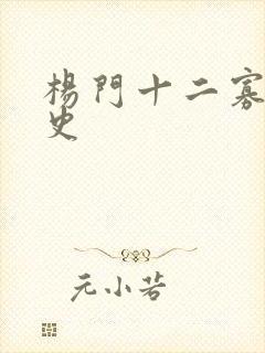 杨门十二寡妇艳史
