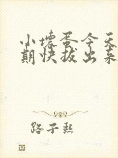 小坏蛋今天危险期快拔出来