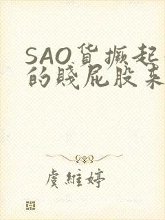 SAO货撅起你的贱屁股来